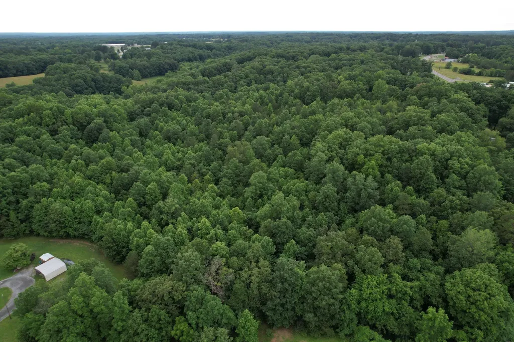0 Defeated Creek Road Centerville TN 37033