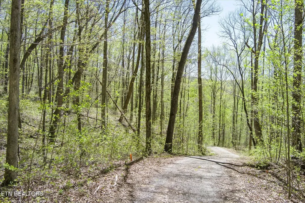 0 Pawnee Lane Jamestown TN 38556