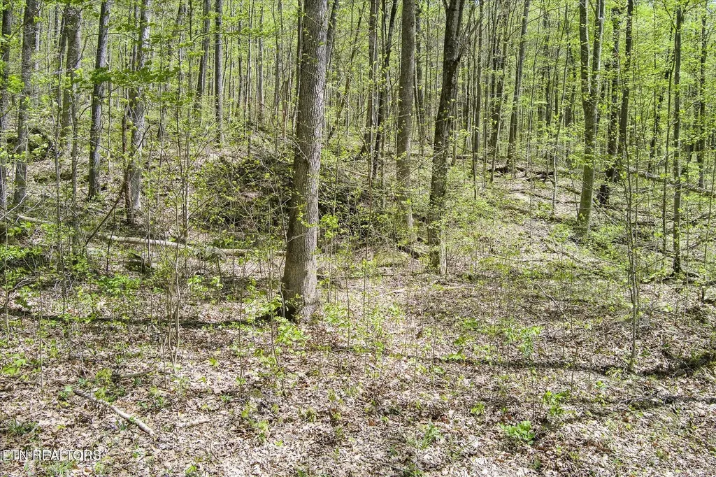 0 Pawnee Lane Jamestown TN 38556