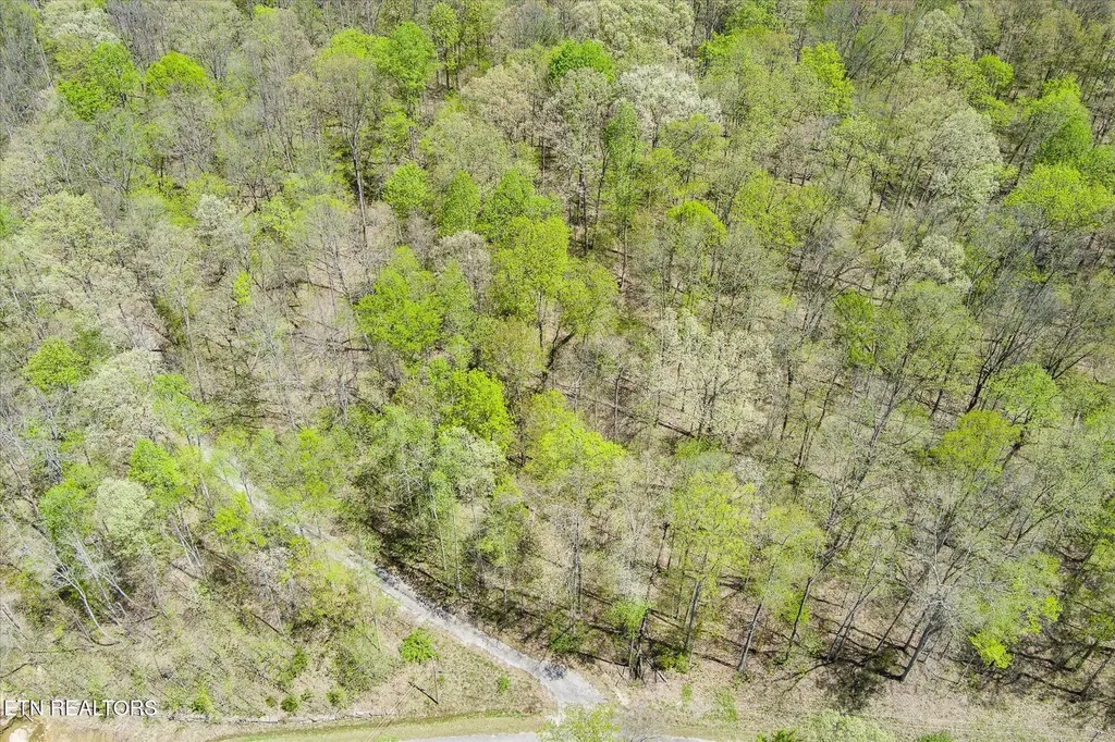 0 Pawnee Lane Jamestown TN 38556