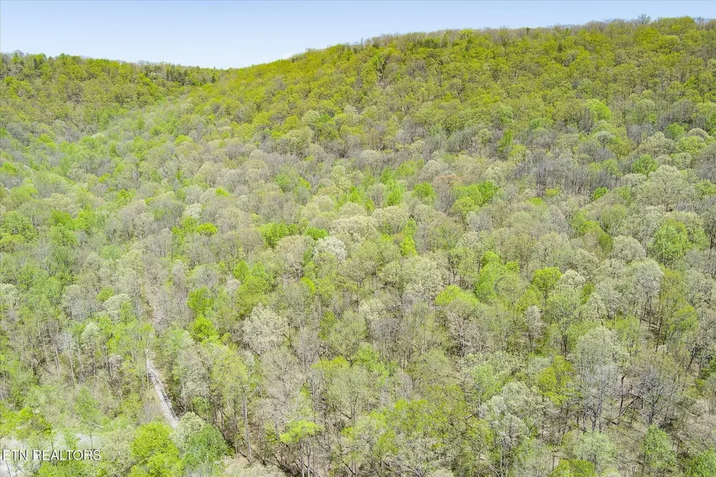 0 Pawnee Lane Jamestown TN 38556