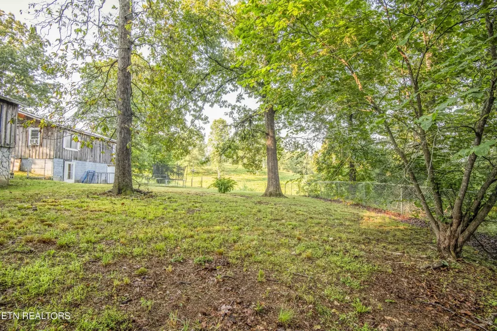 197 Wedgewood Lane Spring City TN 37381