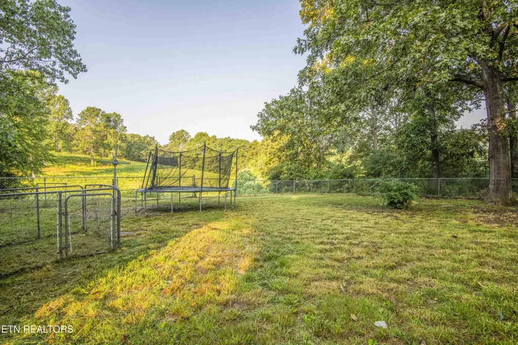 197 Wedgewood Lane Spring City TN 37381