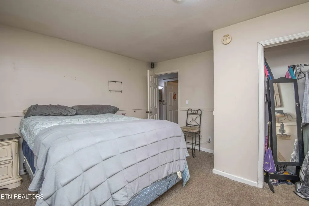 197 Wedgewood Lane Spring City TN 37381