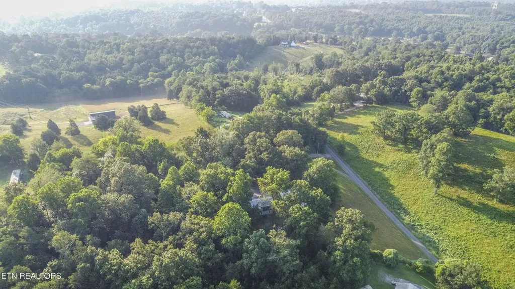 197 Wedgewood Lane Spring City TN 37381