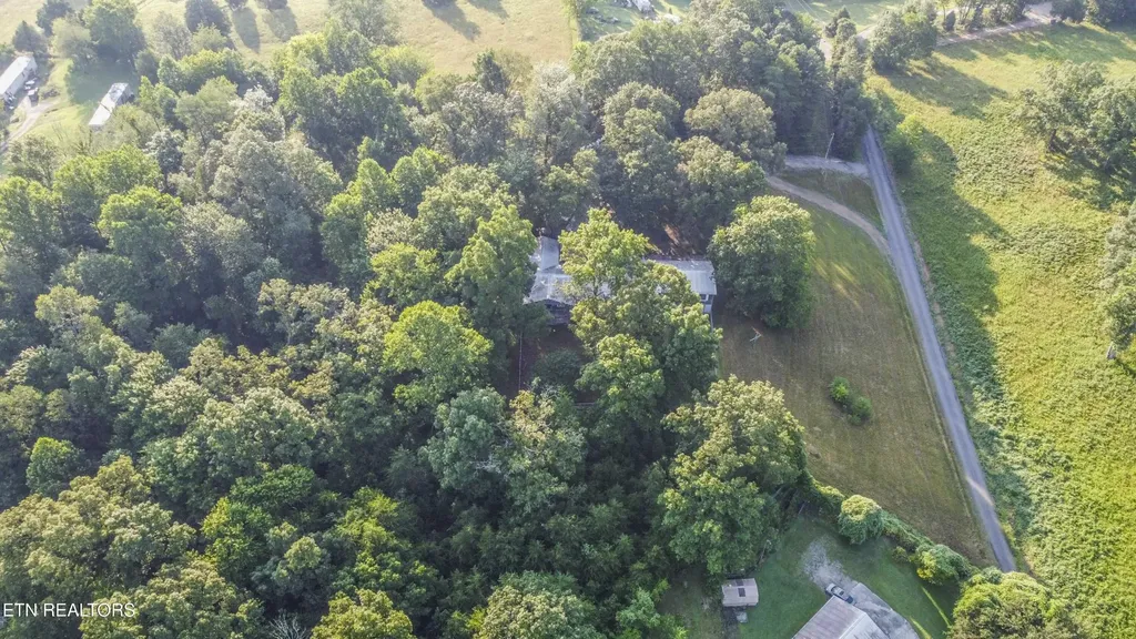 197 Wedgewood Lane Spring City TN 37381