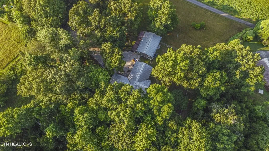 197 Wedgewood Lane Spring City TN 37381