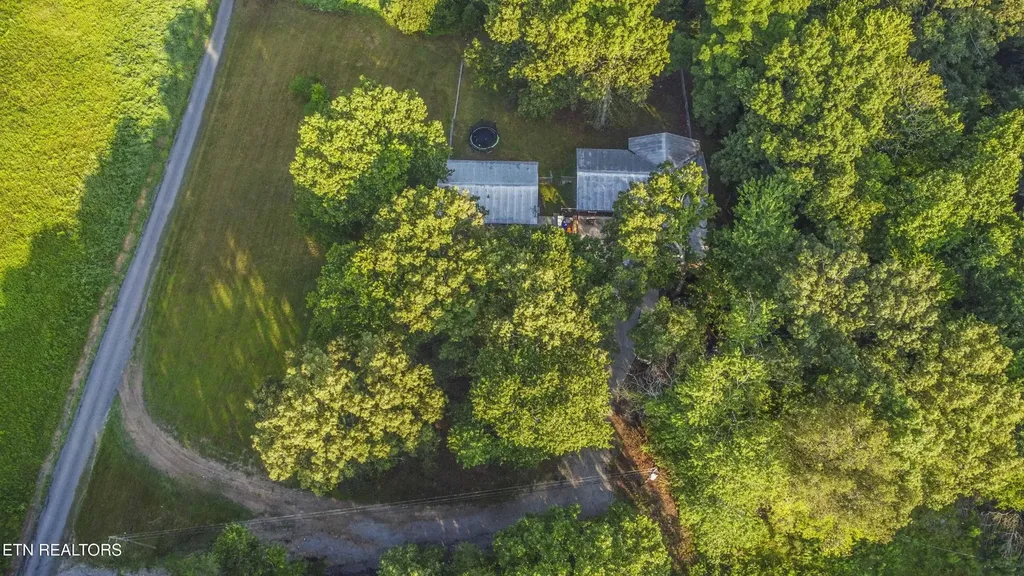 197 Wedgewood Lane Spring City TN 37381