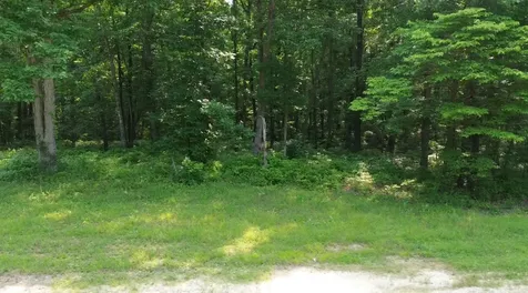 0 Owl Circle Hurricane Mills TN 37078