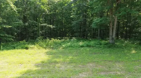 0 Owl Circle Hurricane Mills TN 37078