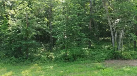 0 Owl Circle Hurricane Mills TN 37078