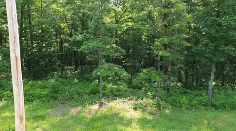 0 Owl Circle Hurricane Mills TN 37078