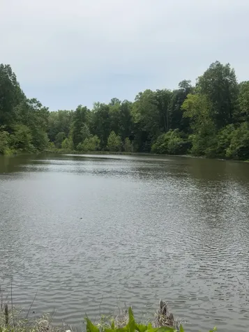 0 Owl Circle Hurricane Mills TN 37078