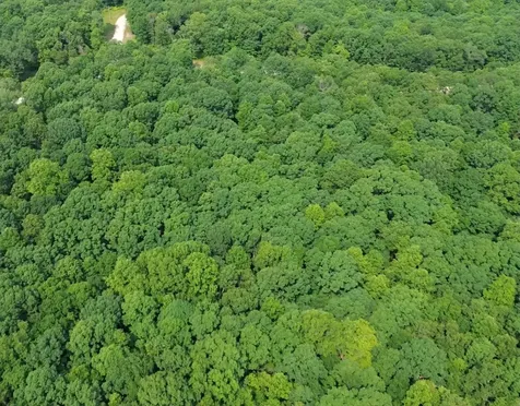 0 Owl Circle Hurricane Mills TN 37078