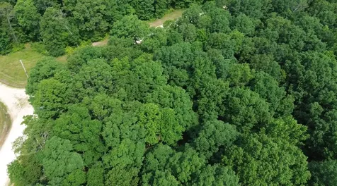 0 Owl Circle Hurricane Mills TN 37078