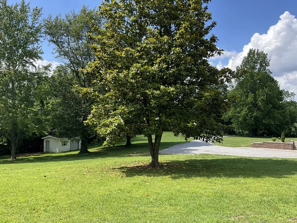 5247 Stacy Springs Road Springfield TN 37172