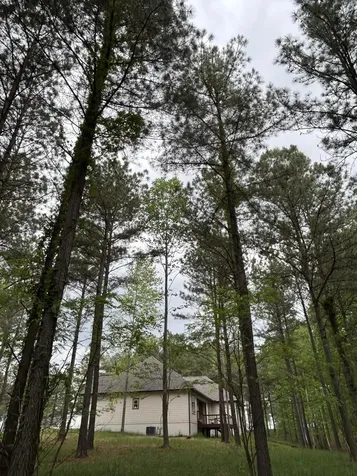 140 Foxtrot Lane Jasper TN 37347