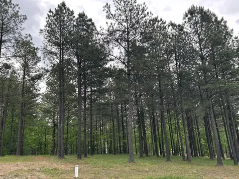 140 Foxtrot Lane Jasper TN 37347