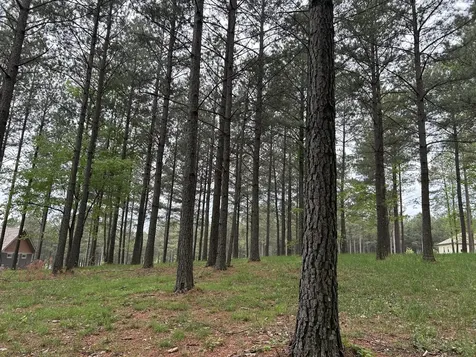 140 Foxtrot Lane Jasper TN 37347