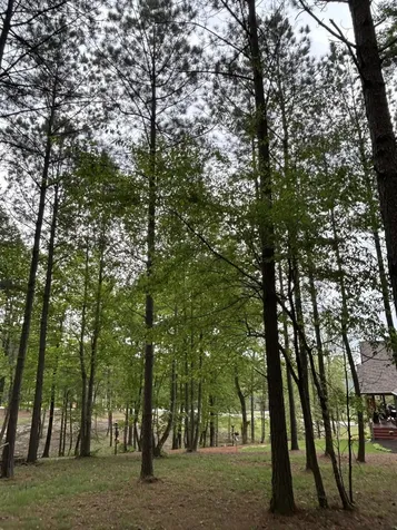 140 Foxtrot Lane Jasper TN 37347