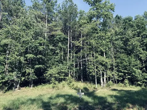 4910 Raulston Falls Road Jasper TN 37347
