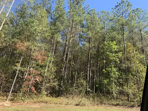 4910 Raulston Falls Road Jasper TN 37347