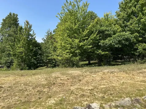 245 Lookout View Drive Jasper TN 37347