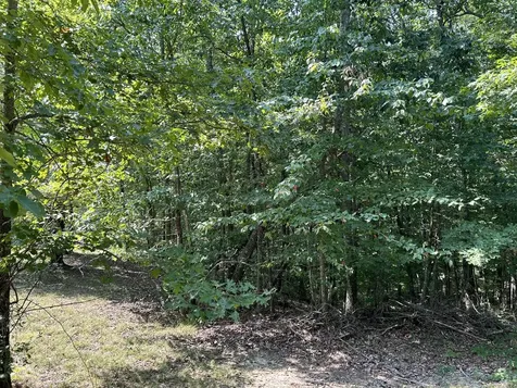 245 Lookout View Drive Jasper TN 37347