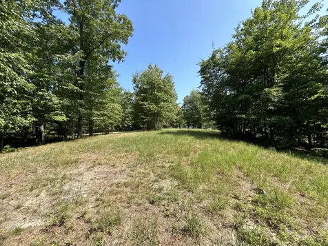245 Lookout View Drive Jasper TN 37347