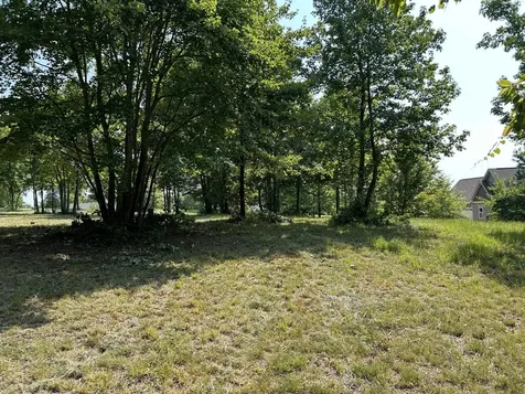 245 Lookout View Drive Jasper TN 37347