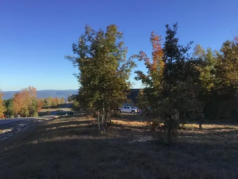 245 Lookout View Drive Jasper TN 37347