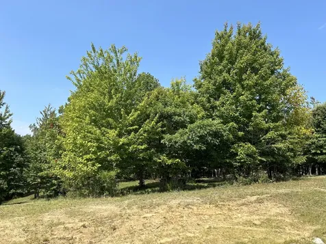 245 Lookout View Drive Jasper TN 37347