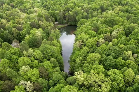 0 Savage Highland Drive Coalmont TN 37313