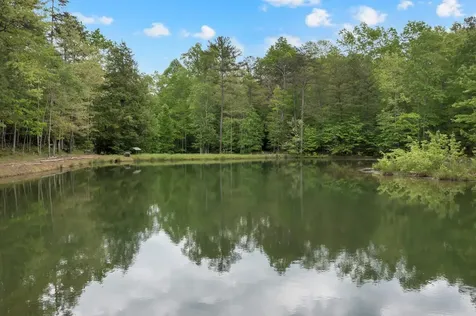 0 Savage Highland Drive Coalmont TN 37313