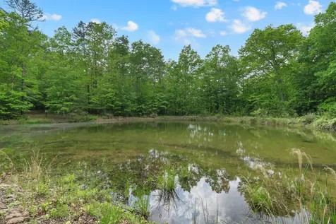 0 Savage Highland Drive Coalmont TN 37313