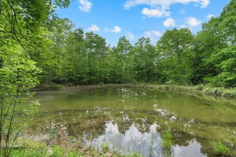 0 Savage Highland Drive Coalmont TN 37313