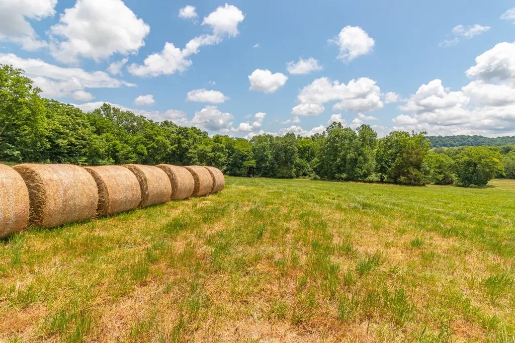 0 Wallace Thompson Road Lewisburg TN 37091