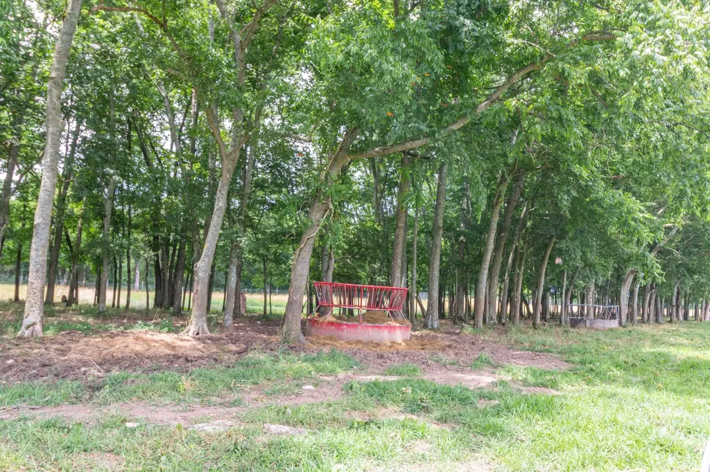 0 Wallace Thompson Road Lewisburg TN 37091