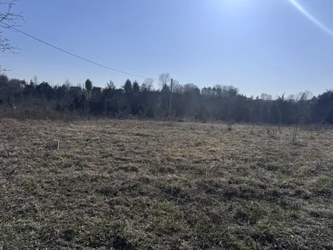 0 Ward Hollow Road Brush Creek TN 38547