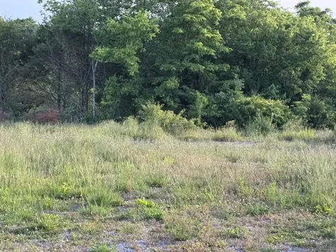 0 Ward Hollow Road Brush Creek TN 38547