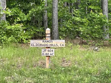 1771 Crockett Point Jasper TN 37347