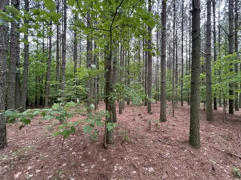 1771 Crockett Point Jasper TN 37347