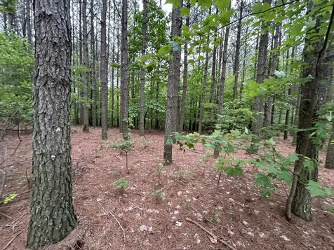 1771 Crockett Point Jasper TN 37347
