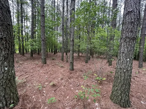 1771 Crockett Point Jasper TN 37347