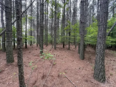 1771 Crockett Point Jasper TN 37347