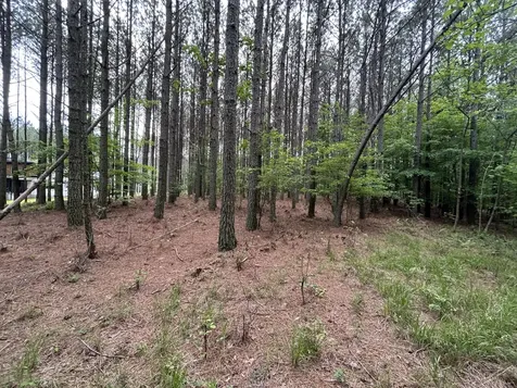 1771 Crockett Point Jasper TN 37347