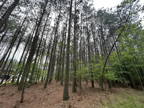 1771 Crockett Point Jasper TN 37347
