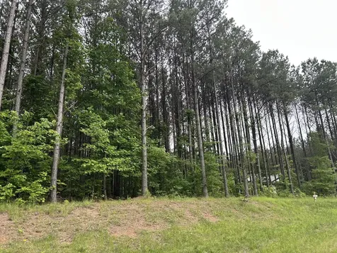 1771 Crockett Point Jasper TN 37347