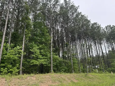 1771 Crockett Point Jasper TN 37347