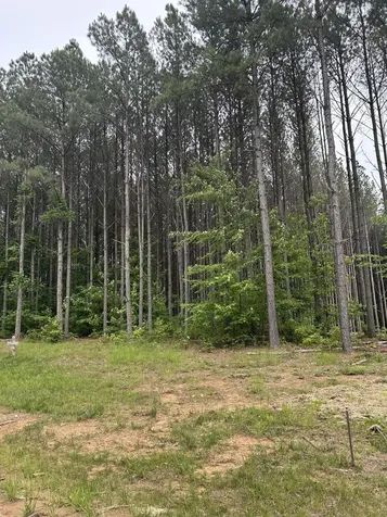 1771 Crockett Point Jasper TN 37347